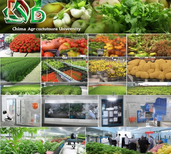 中国农业大学有哪些产品？全方位解析农大出品